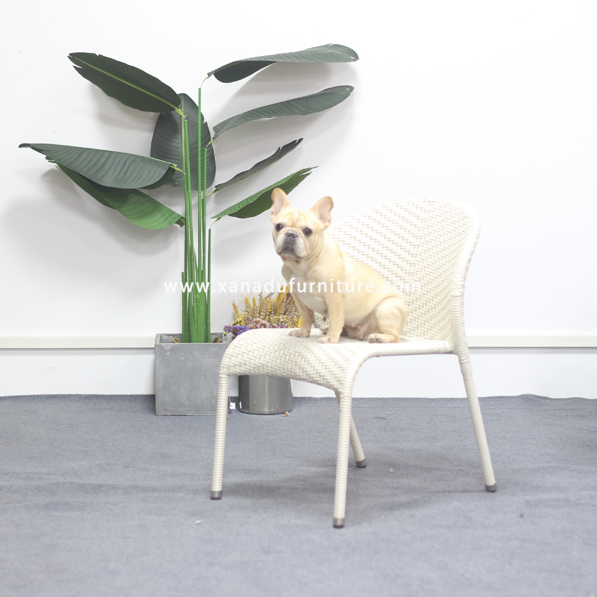 XND-077 Foshan Xanadu Outdoor Weather Resistant Dining Chair كرسي لمطعم في الهواء الطلق